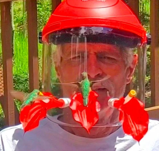 Wearable Hummingbird Feeding Mask Moonqo Store