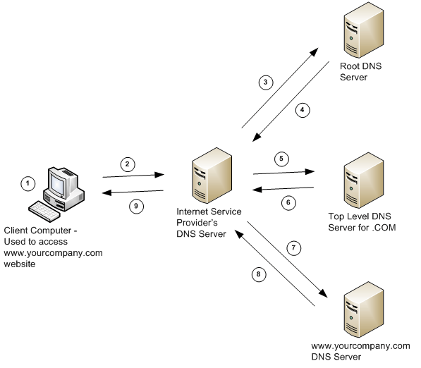 What is DNS Protection and Why It's Important