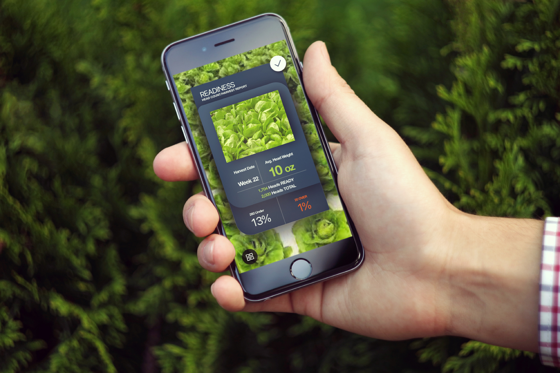 Top 6 Weed Tech Businesses to Watch in 2020