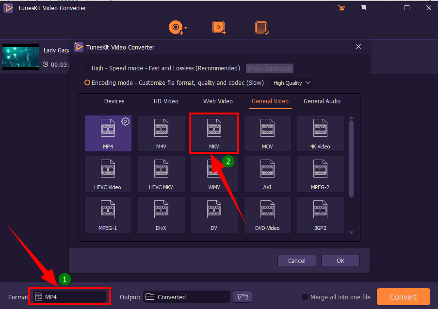 Convert Unlimited Videos Easily With TunesKit Video Converter