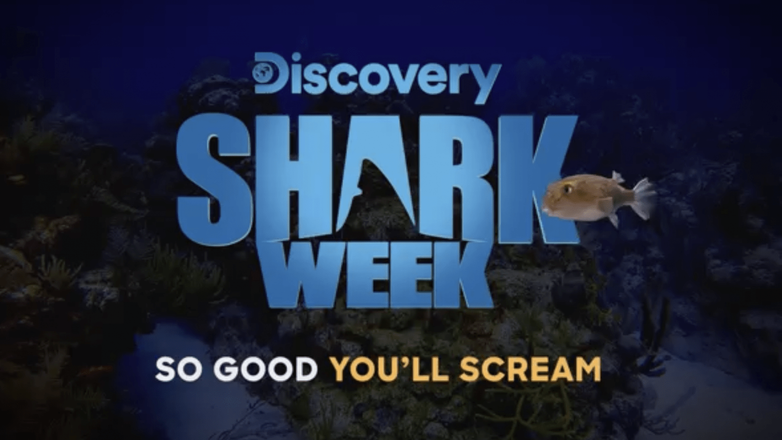 Watch 'Shark Week 2019' Online Without Cable Live Stream