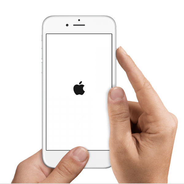 How To Fix IPhone White Screen Of Death