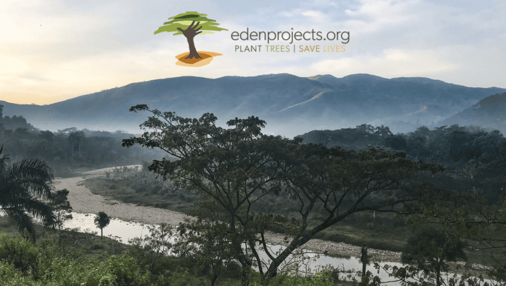 Zo betaal je met de Bonsai betaalapp TechPulse