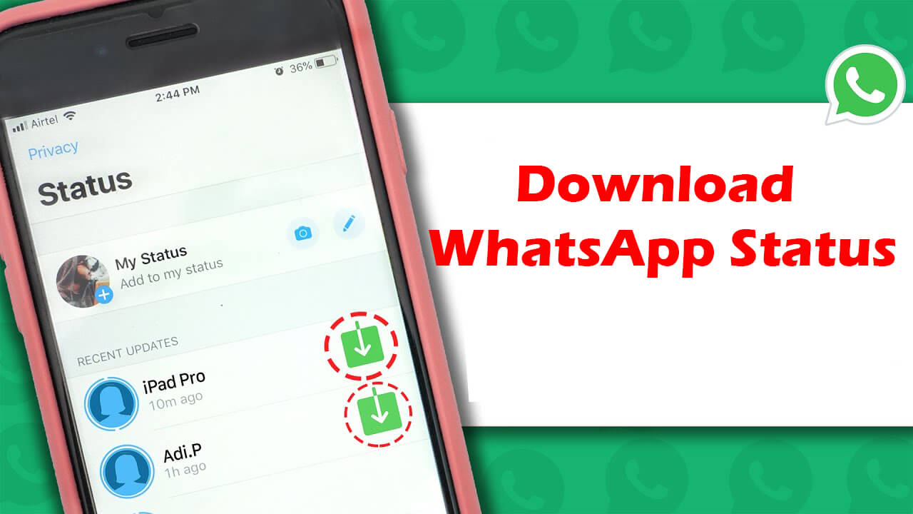 How to Download Someone's WhatsApp Video Status on Android?