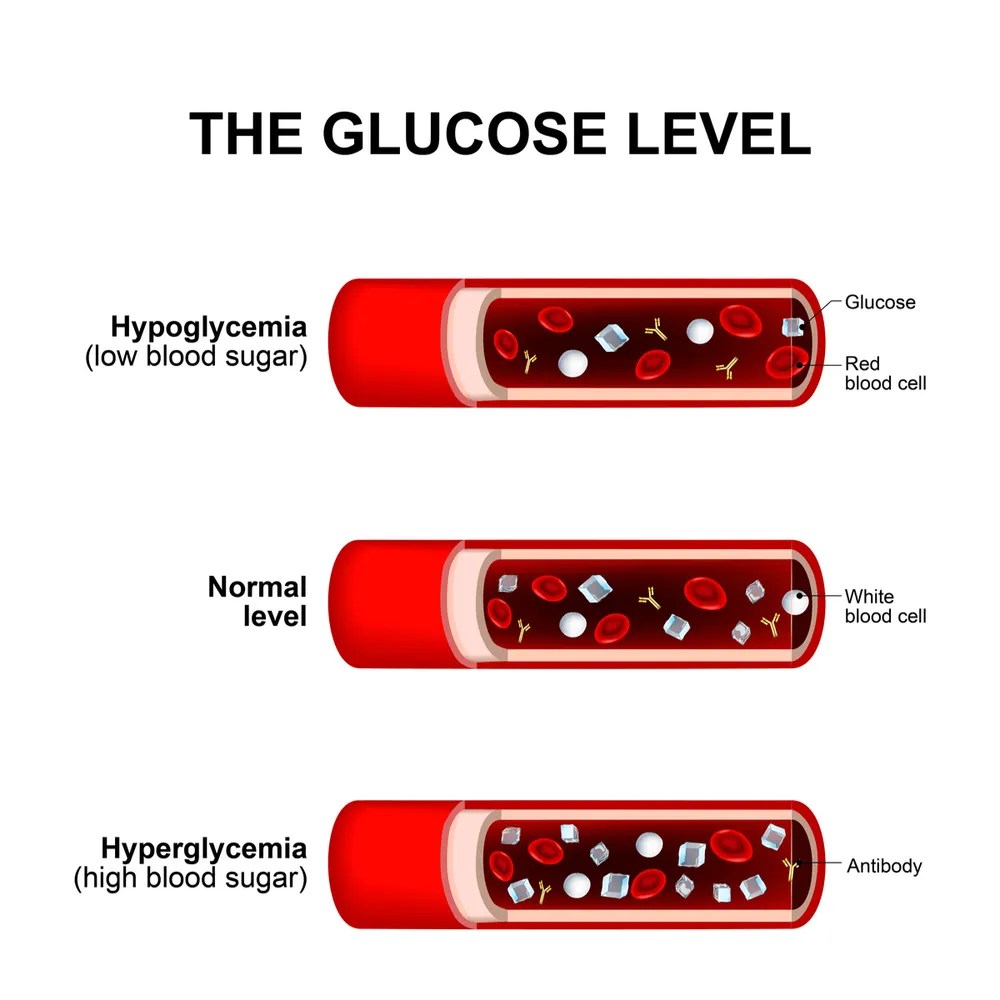 Ryan Reynolds’ Secret Weapon Against Unstable Blood Sugar? It’s Just