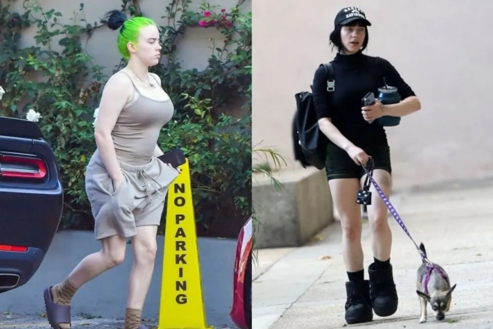 Billie Eilish weight loss shocker as she reveals a lean physique and(05)