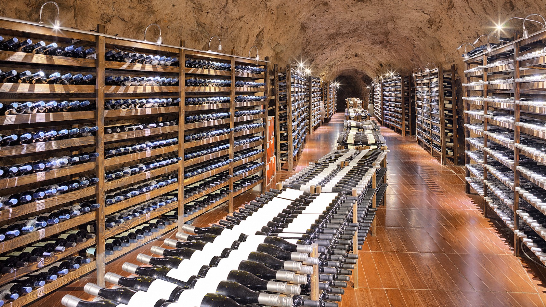 Cellier à vin les indispensables pour débutants Tendances et Marteau