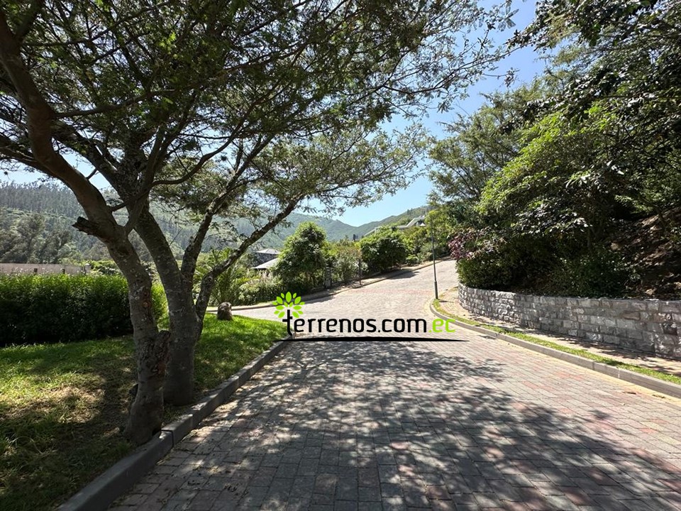 Terreno de venta en Tumbaco 2500 m2, Urbanización Pachosalas, Club Casa