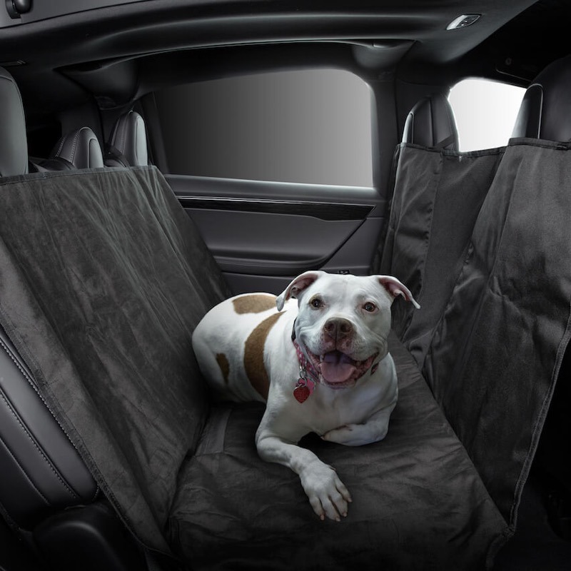 Tesla Launches Pet Liner for Model S/3/X/Y, From 135