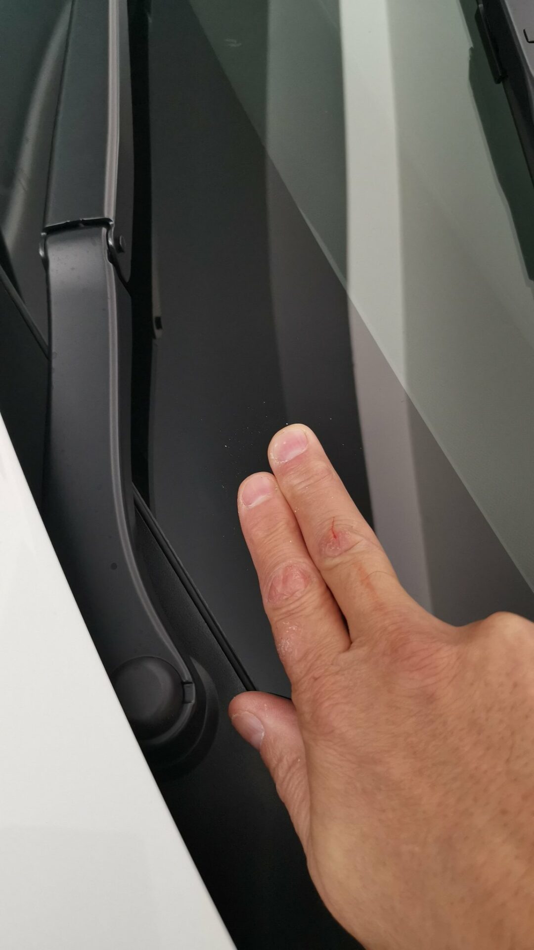 Tesla Model Y from Fremont Delivers with Heated Wiper Defrost Feature