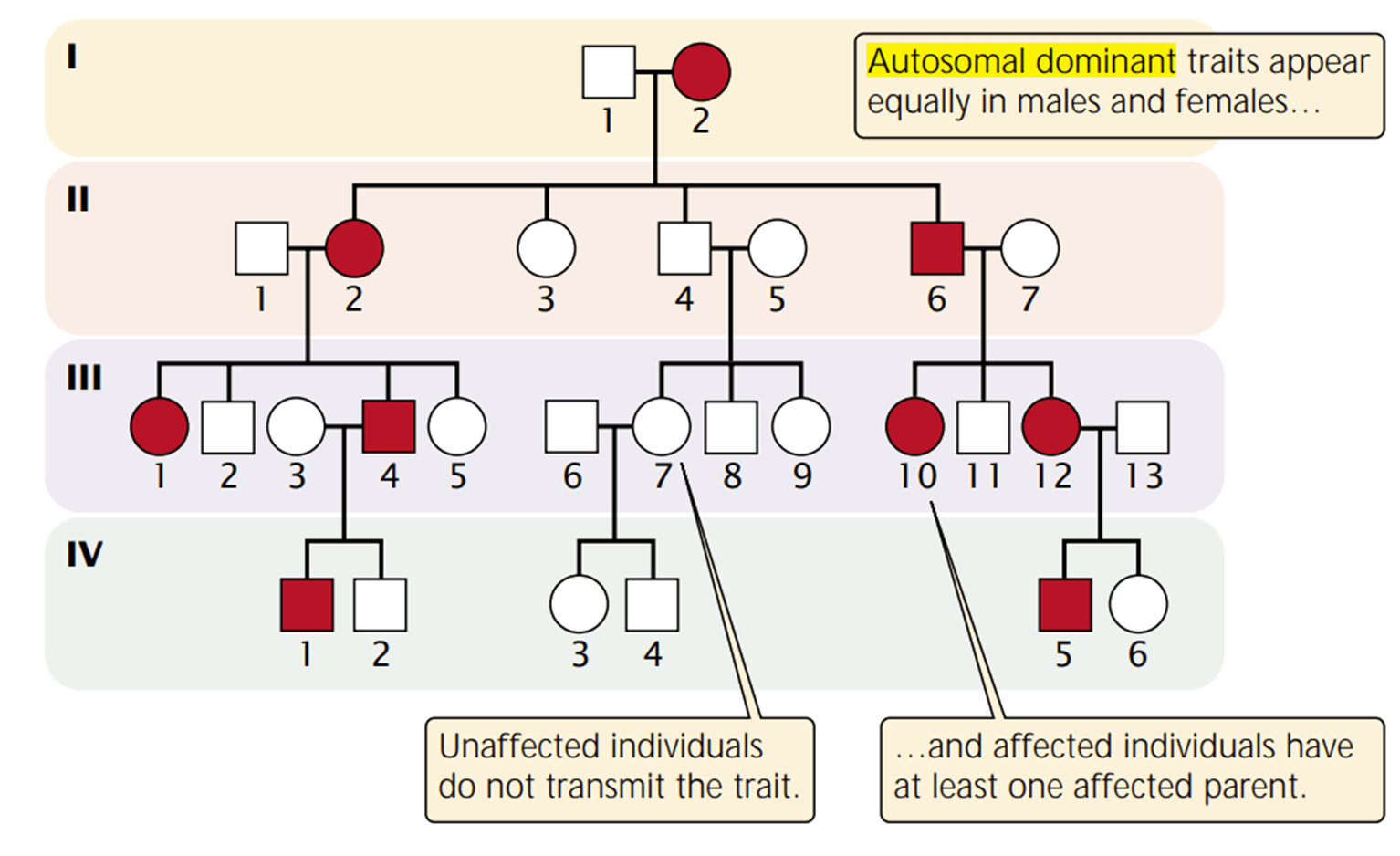 Human MCQ [Free PDF] Objective Question Answer for Human Quiz Download Now!