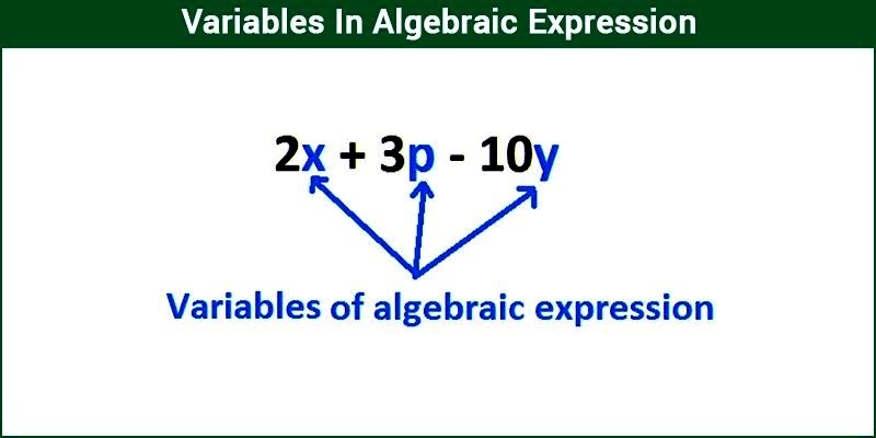 Understanding Variables and Constants in Algebraic Expressions