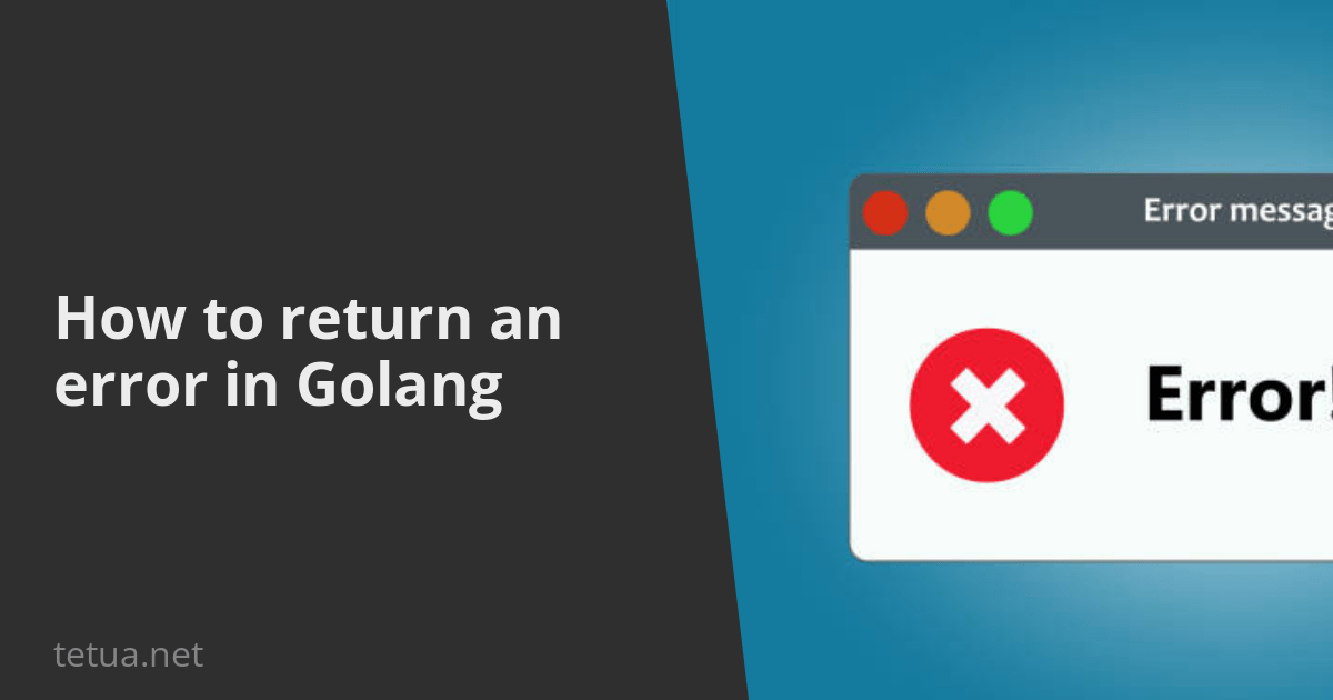 How to return an error in Golang Tetua Community