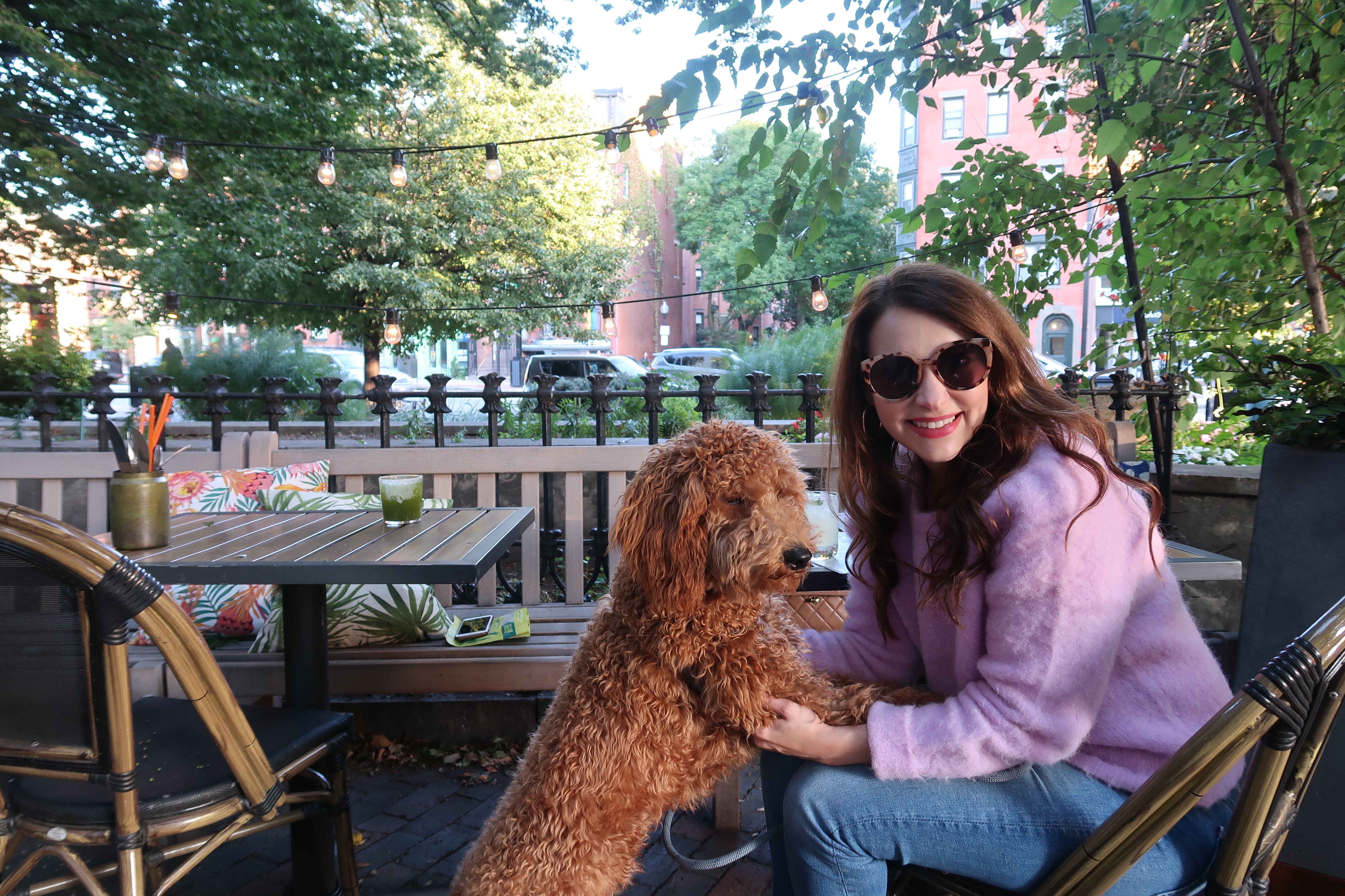 DogFriendly Restaurants in Boston The ALyst A Boston