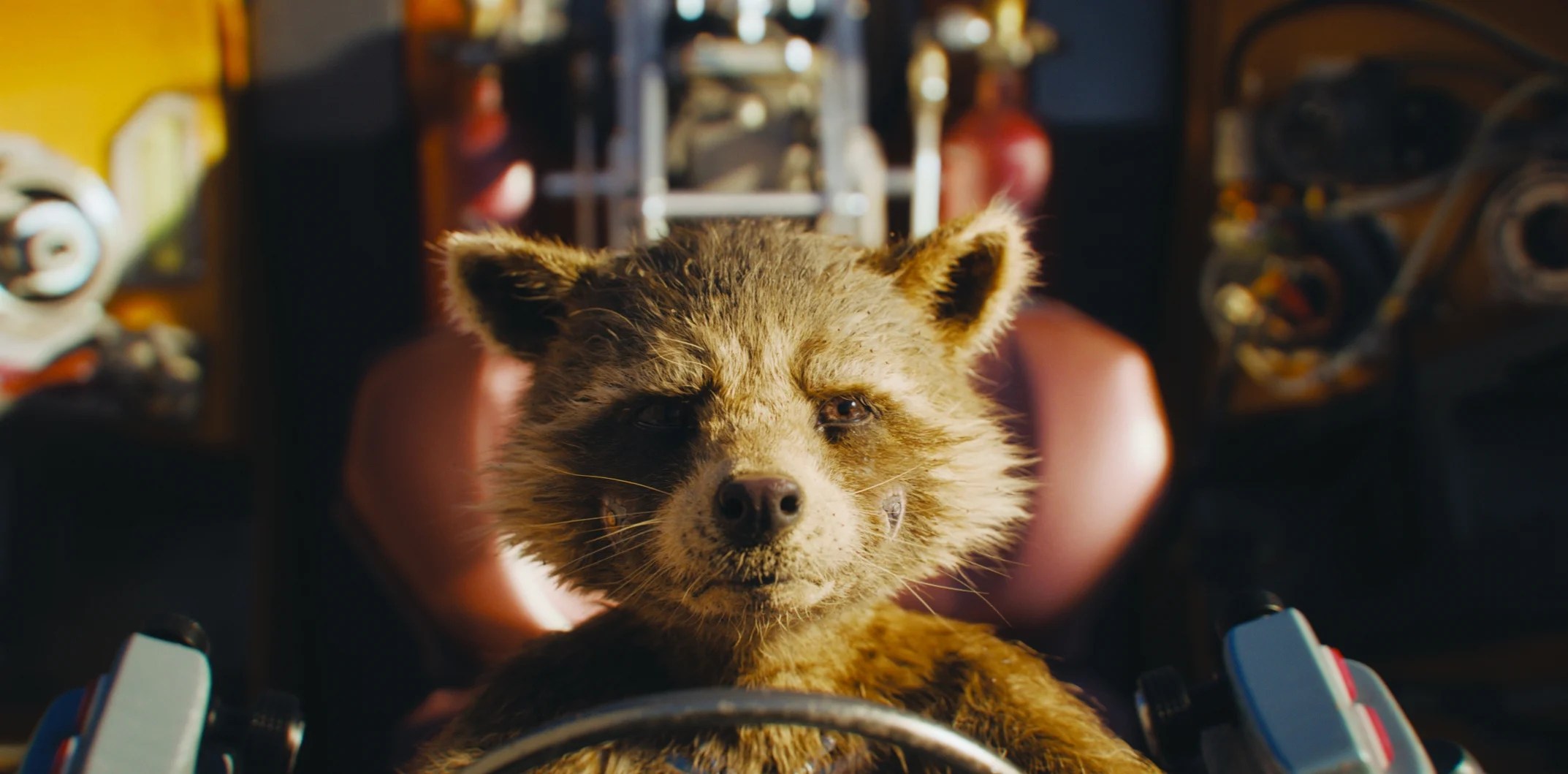 The Evolution of Rocket Raccoon The American Society of