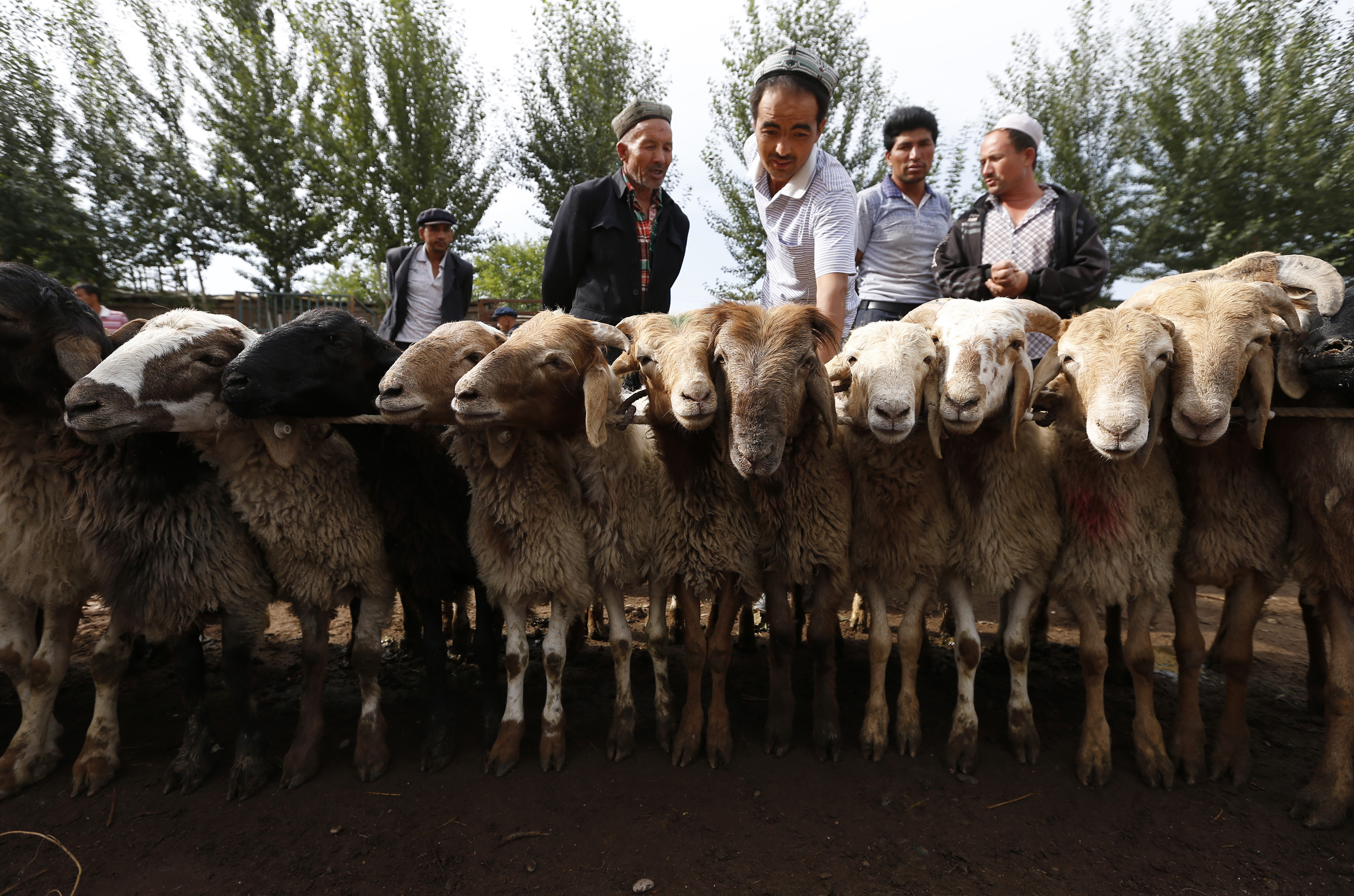 The Uighurs, China's Embattled Muslim Minority, Are Still Seeking an