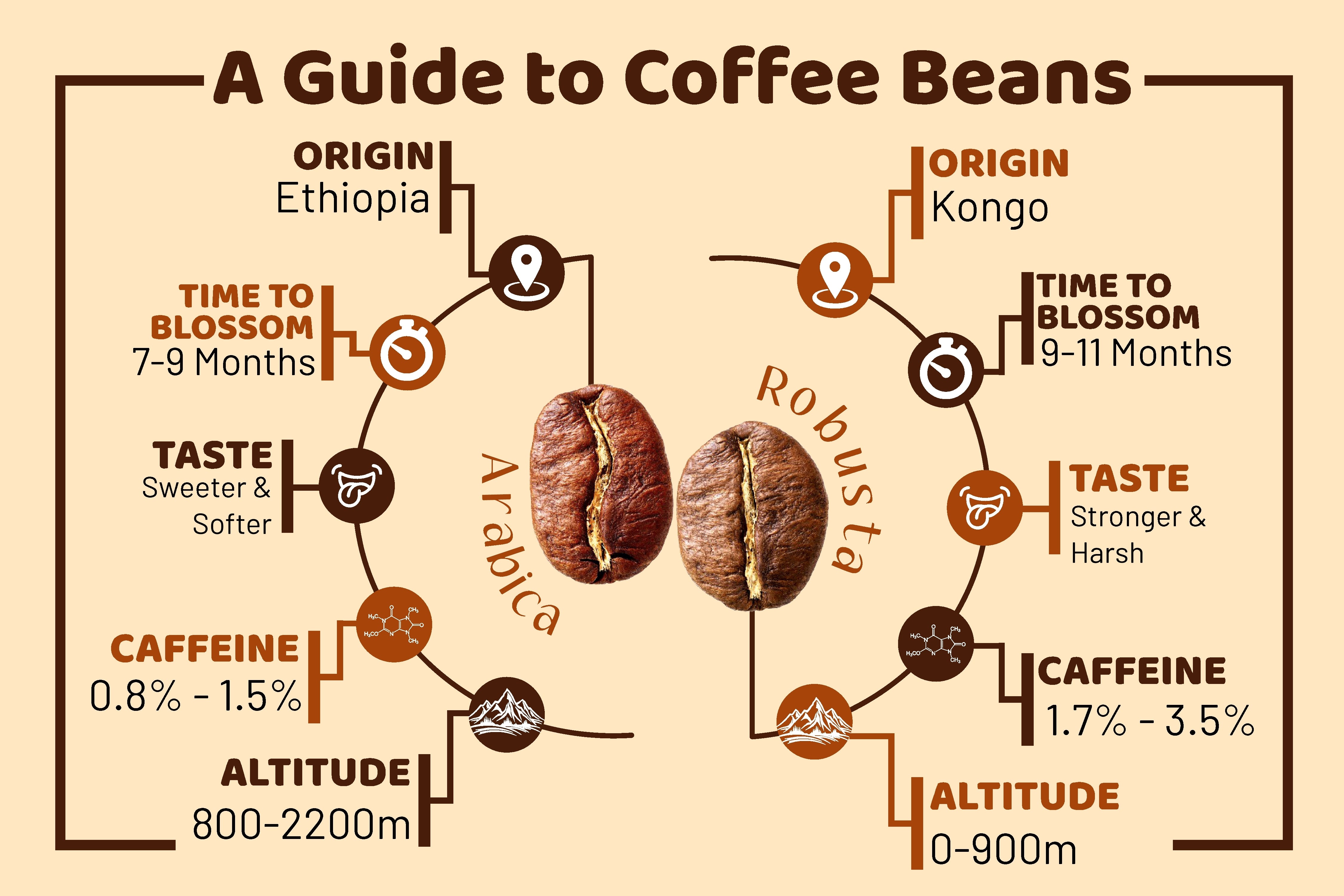 Coffee Beans