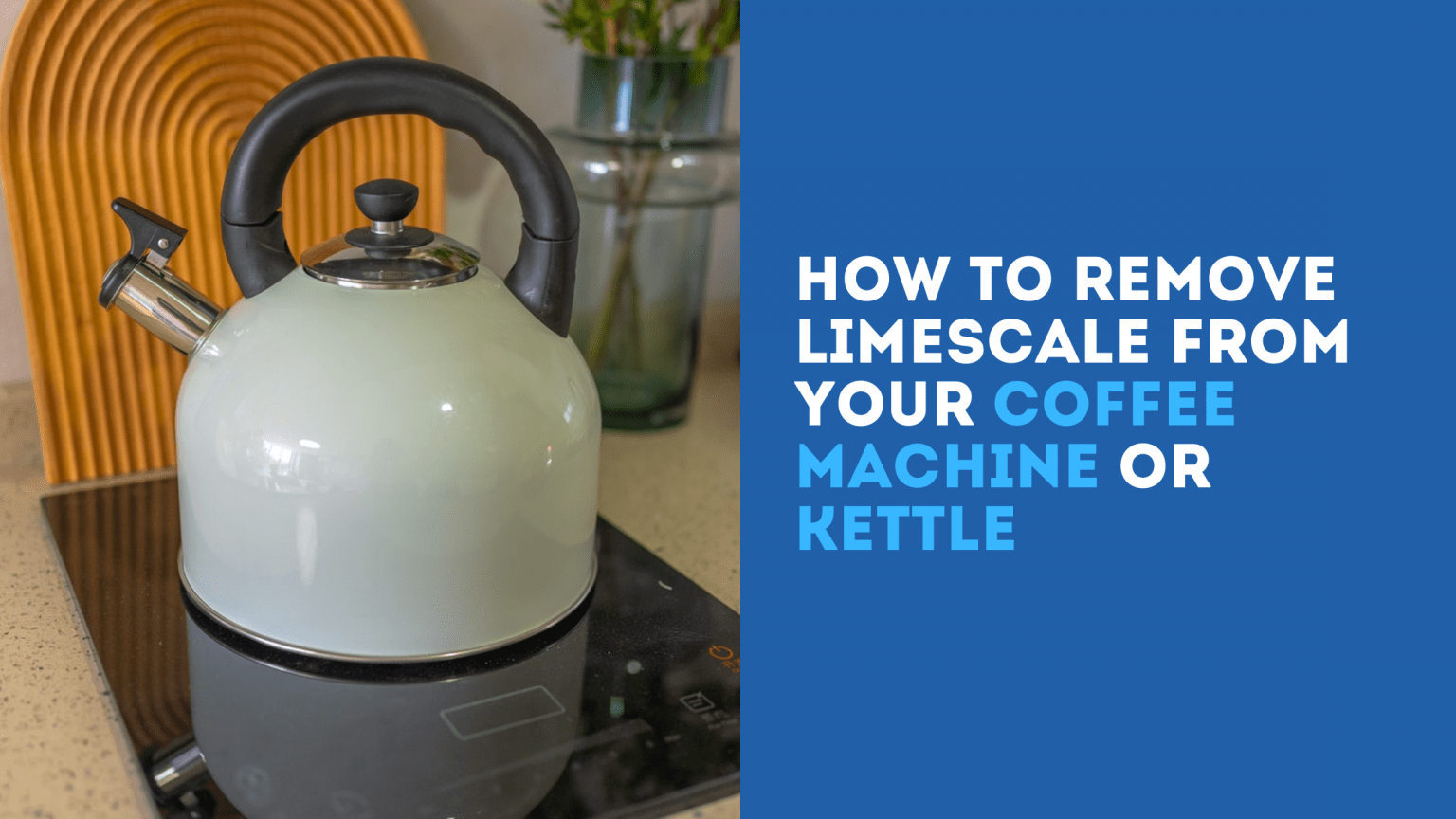 The Perfect Gift For Any Coffee Lover How About Never Coffee Mug