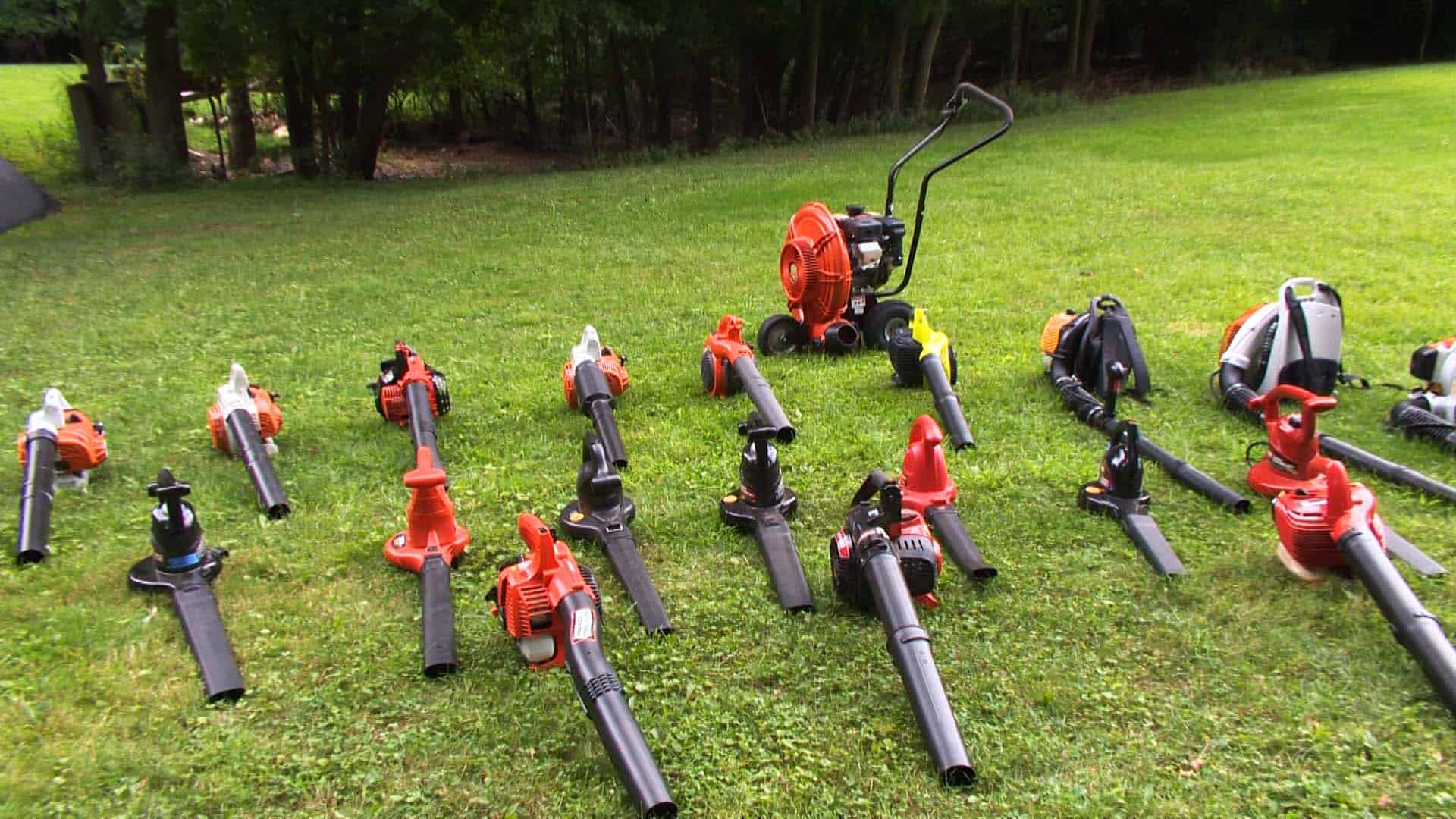 A Guide to the Best Leaf Vacuums for a Clean Yard