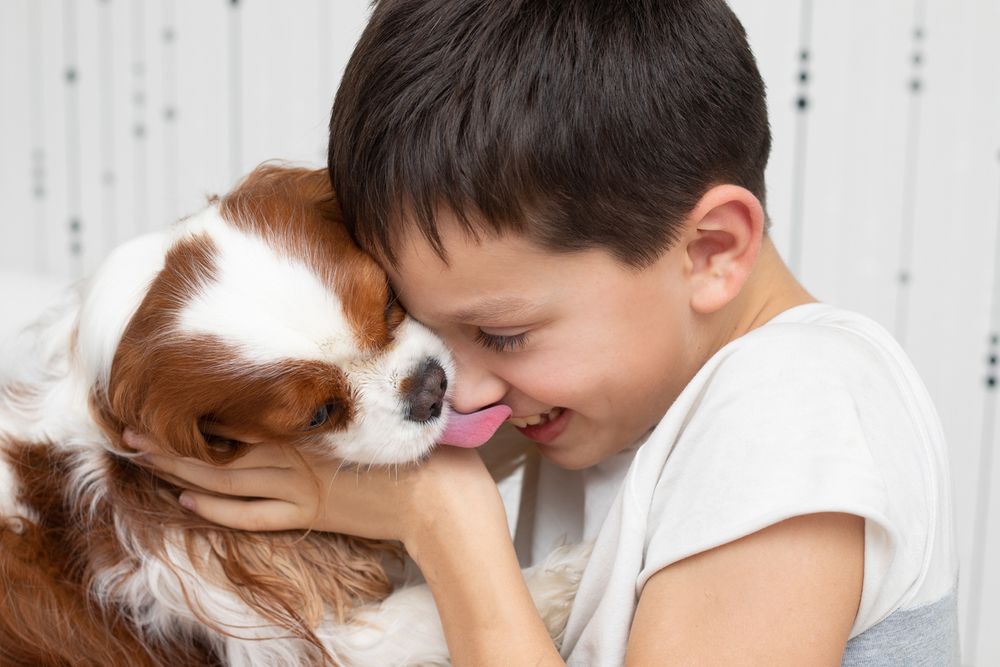 Why Do Dogs Lick You? Learn How to Read Your Dogs Signals