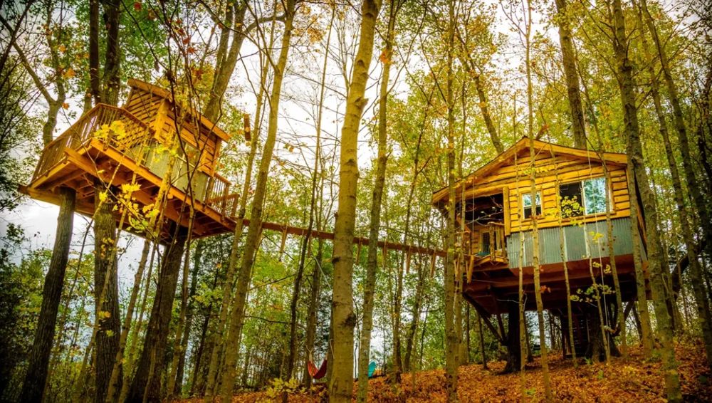 Tree House Rentals 17 Unique Places to Stay on Your Next Vacation