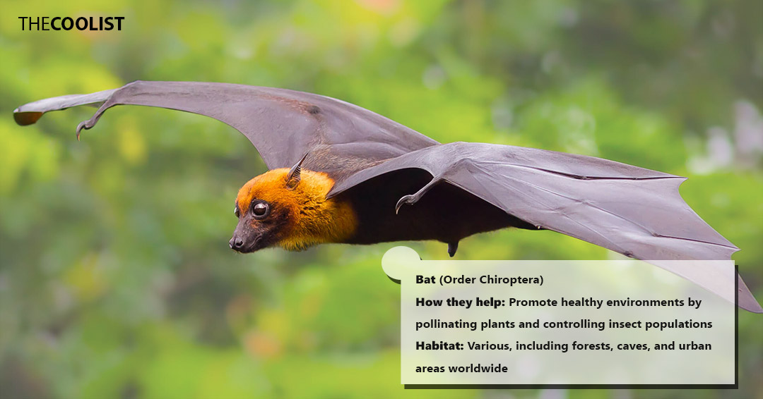 15 Animals that Help the Environment