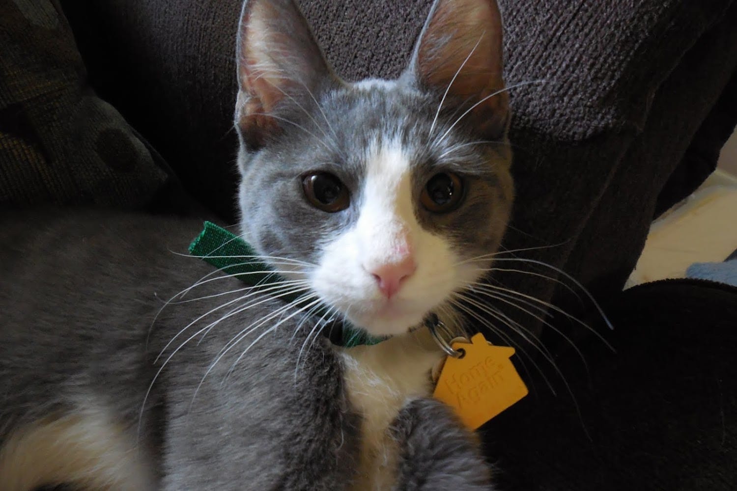 Animal Shelter in Ocean County, NJ The County Office