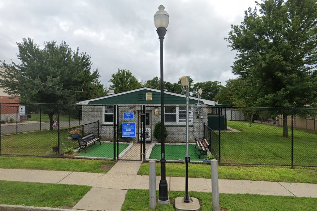 Perth Amboy Animal Shelter in Perth Amboy, NJ Find Paw Pal