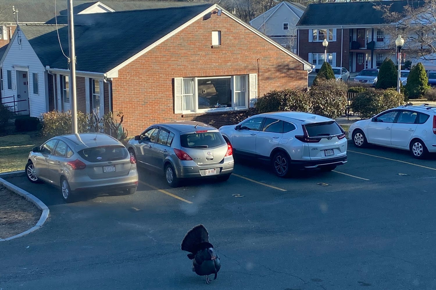 Housing Authority in Norfolk County, MA The County Office