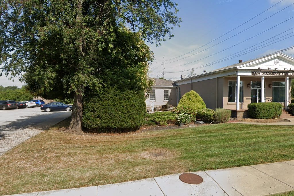 Animal Hospital in Jefferson County, KY The County Office