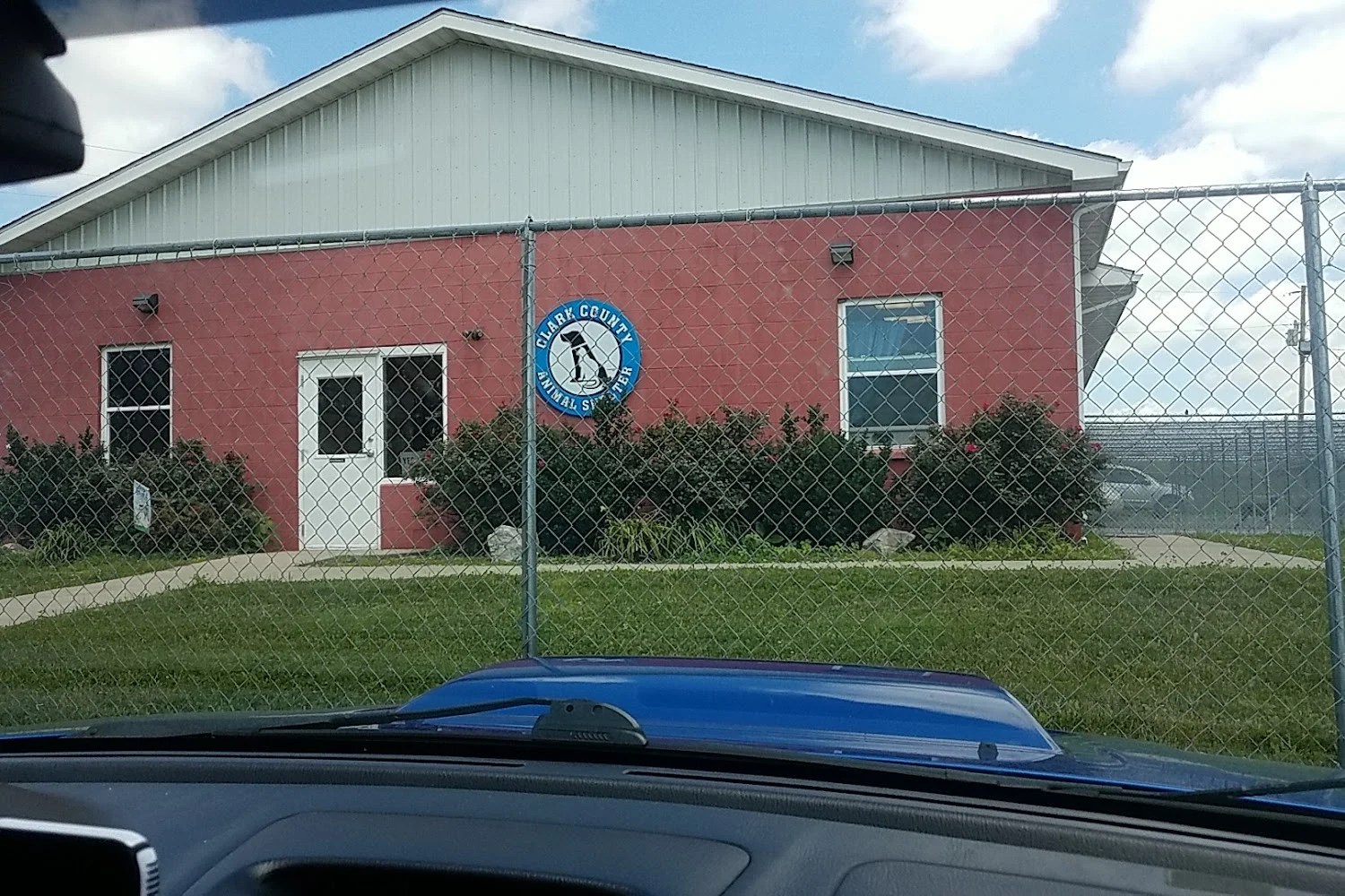 Montgomery County Animal Shelter in Mount Sterling, KY Pets