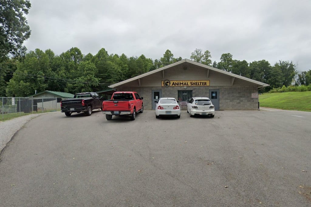 Animal Protection League of Pulaski County in Somerset, KY Find Paw Pal