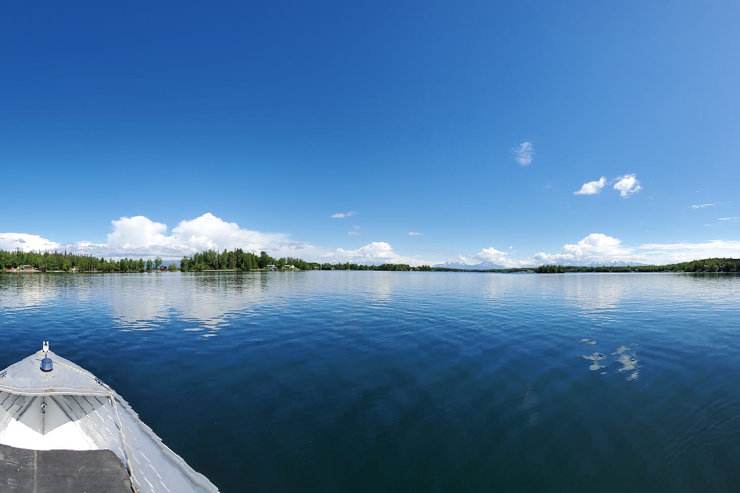 Animal Shelter in Big Lake, AK The County Office
