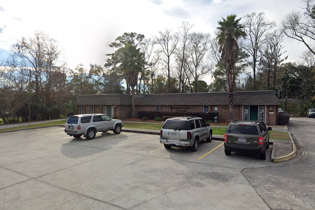 Animal Hospital in Savannah, GA The County Office