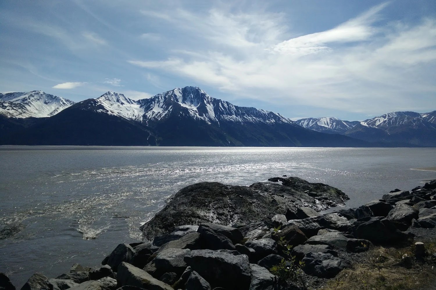 Animal Shelter in Anchorage Municipality County, AK The County Office