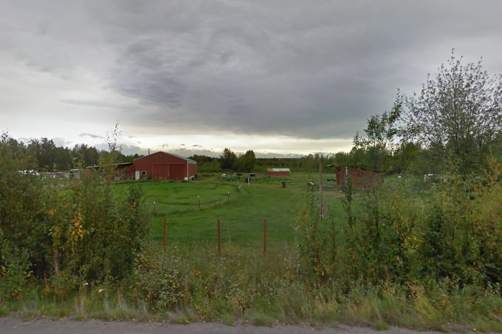 Animal Shelter in Wasilla, AK The County Office