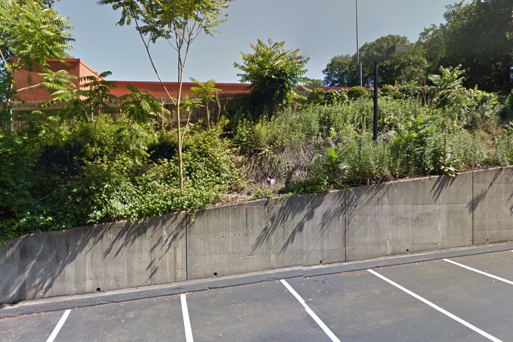 Norwalk City Animal Control in Norwalk, CT Find Paw Pal