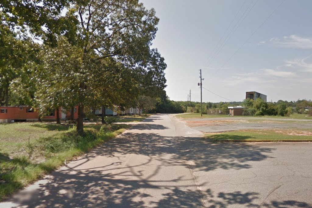 Homeless Animal Rescue and Placement Services, Inc in Warner Robins, GA