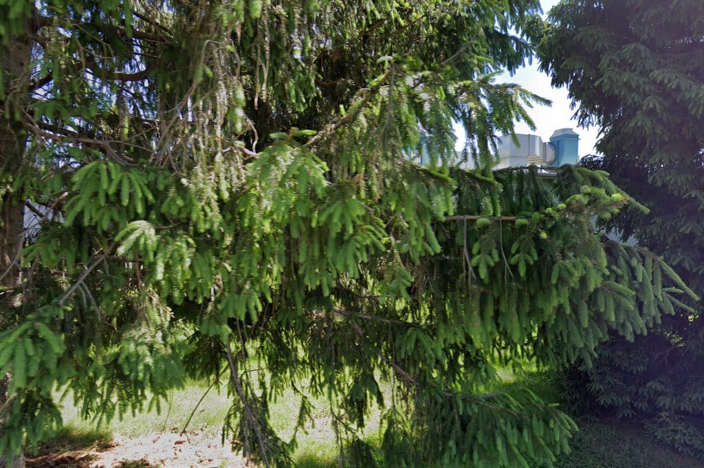 Government Administration in Lodi, NJ The County Office