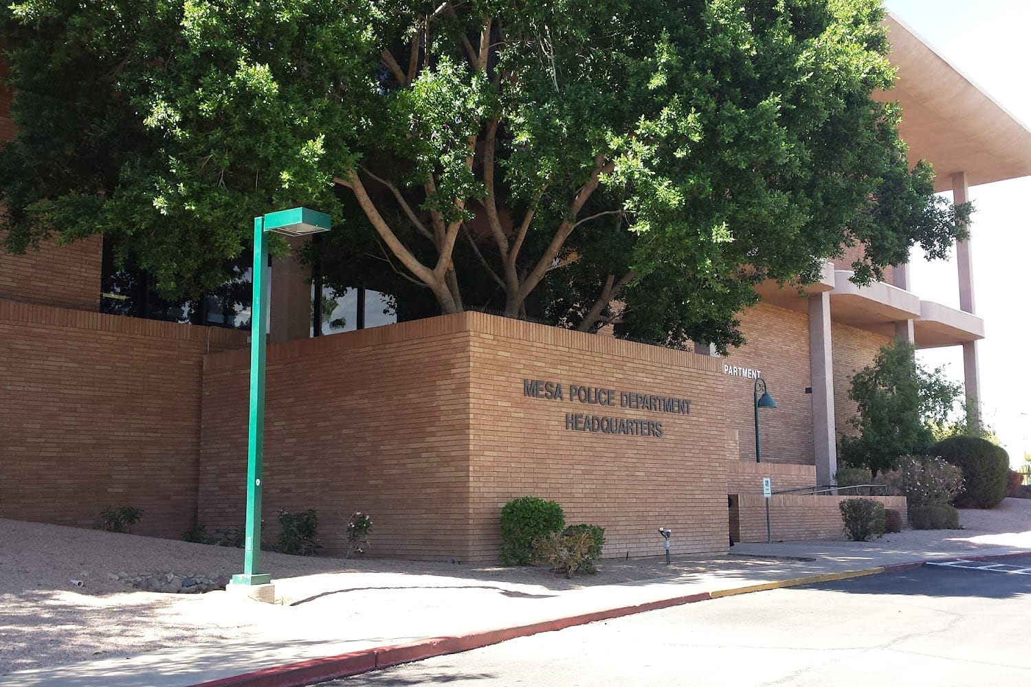 Animal Rescue in Mesa, AZ Find Paw Pal