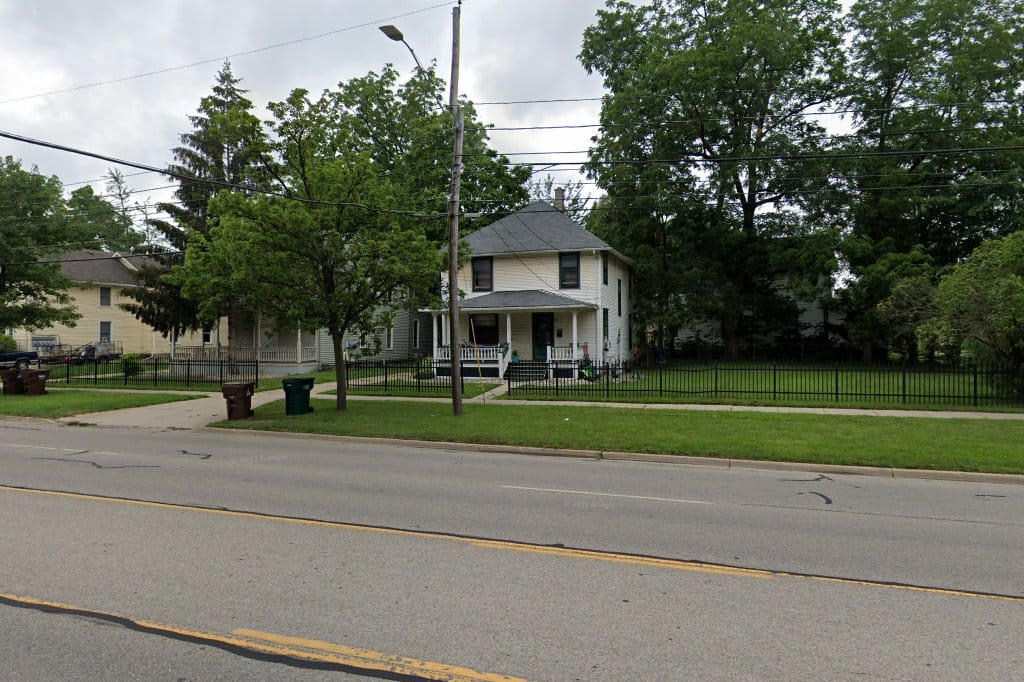 Dog Rescue in Lansing, MI Find Paw Pal