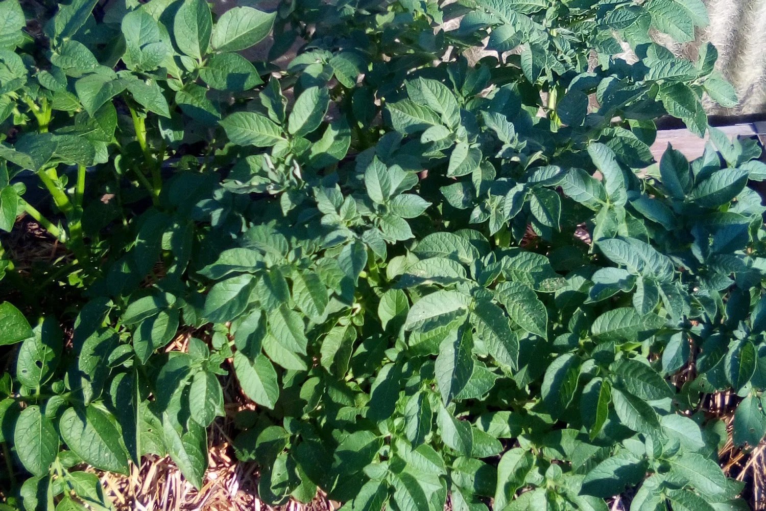 Brookfield Housing Authority in Brookfield, CT The County Office