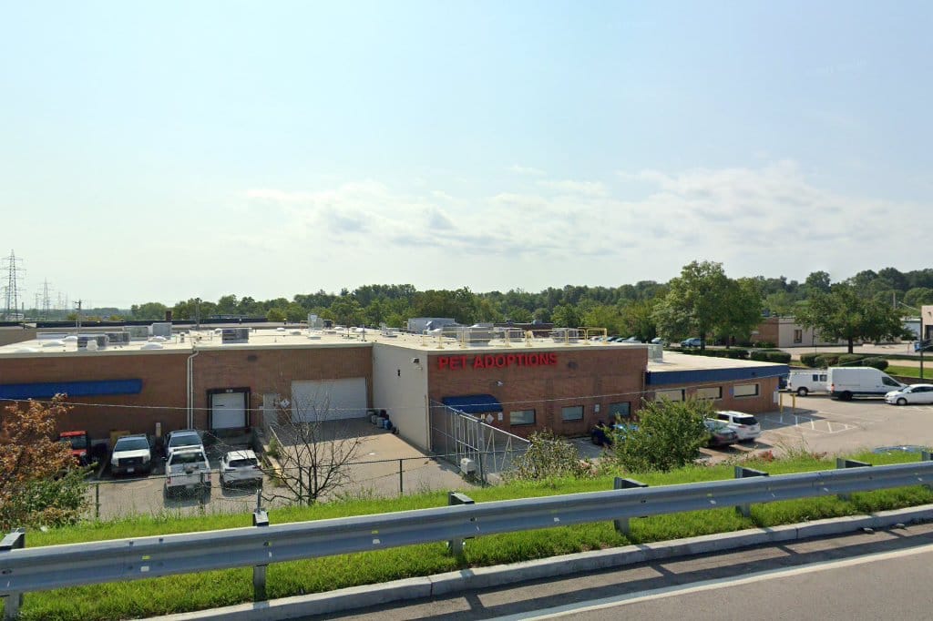 Animal Shelter in St. Louis County, MO The County Office