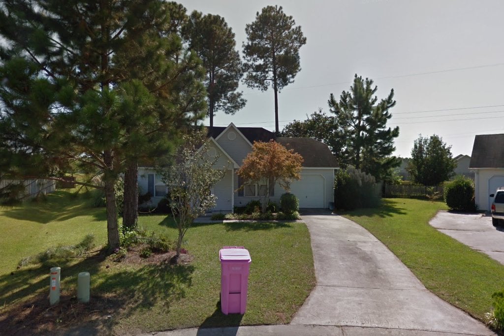 Animal Shelters in Wilmington, NC Pets TheCountyOffice