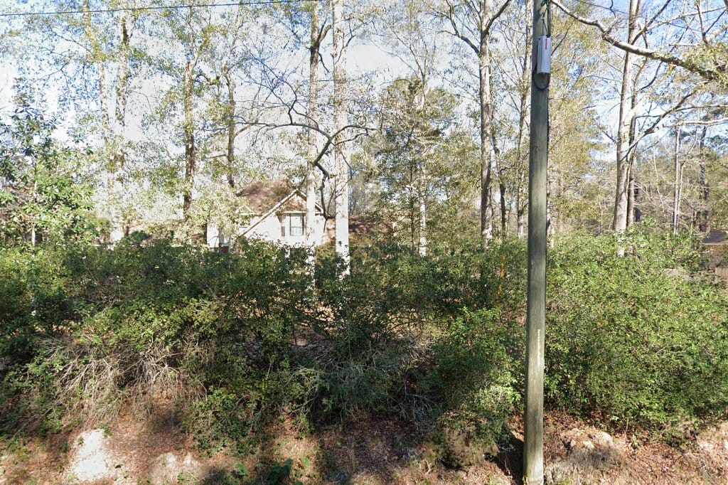 Animal Shelters in Covington, LA Pets TheCountyOffice