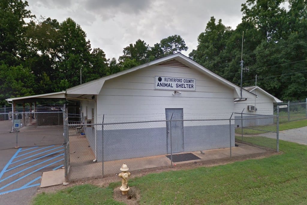 Rutherford County Animal Shelter in Rutherfordton, NC Find Paw Pal