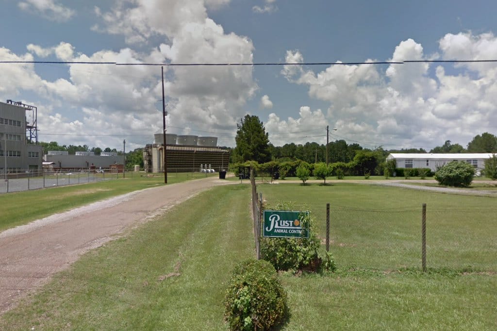 Animal Shelters in Ruston, LA Pets TheCountyOffice