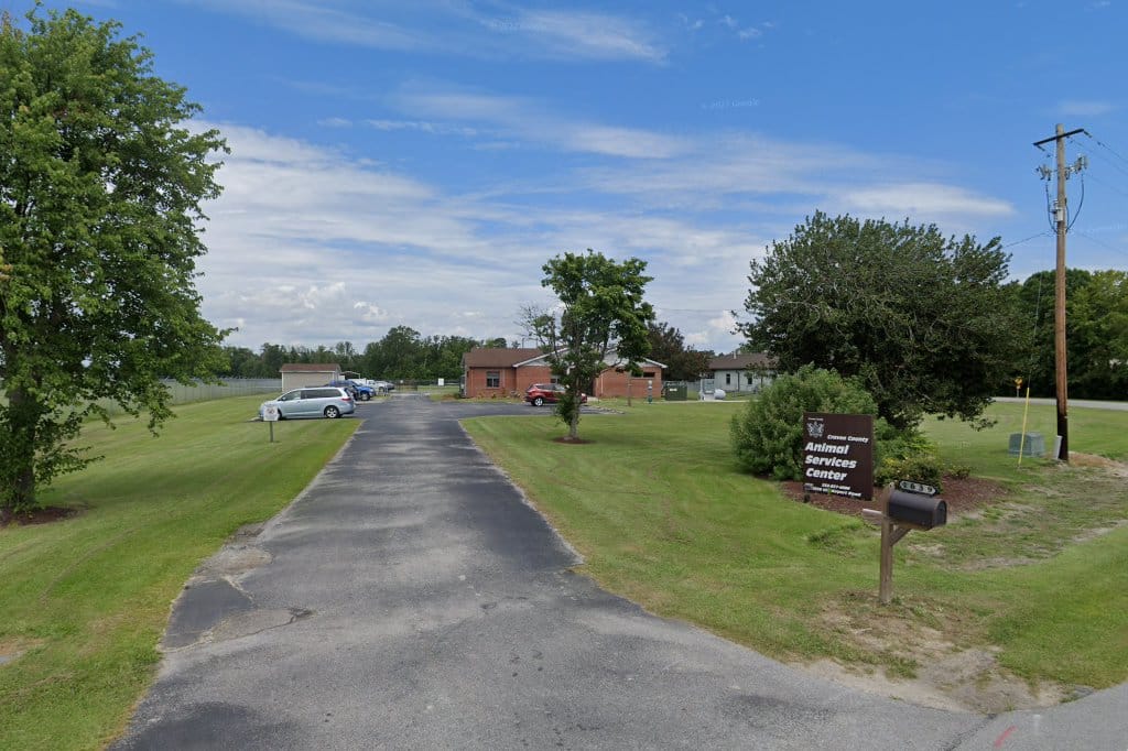 Pet Adoption & Welfare Society in Morehead City, NC The County Office