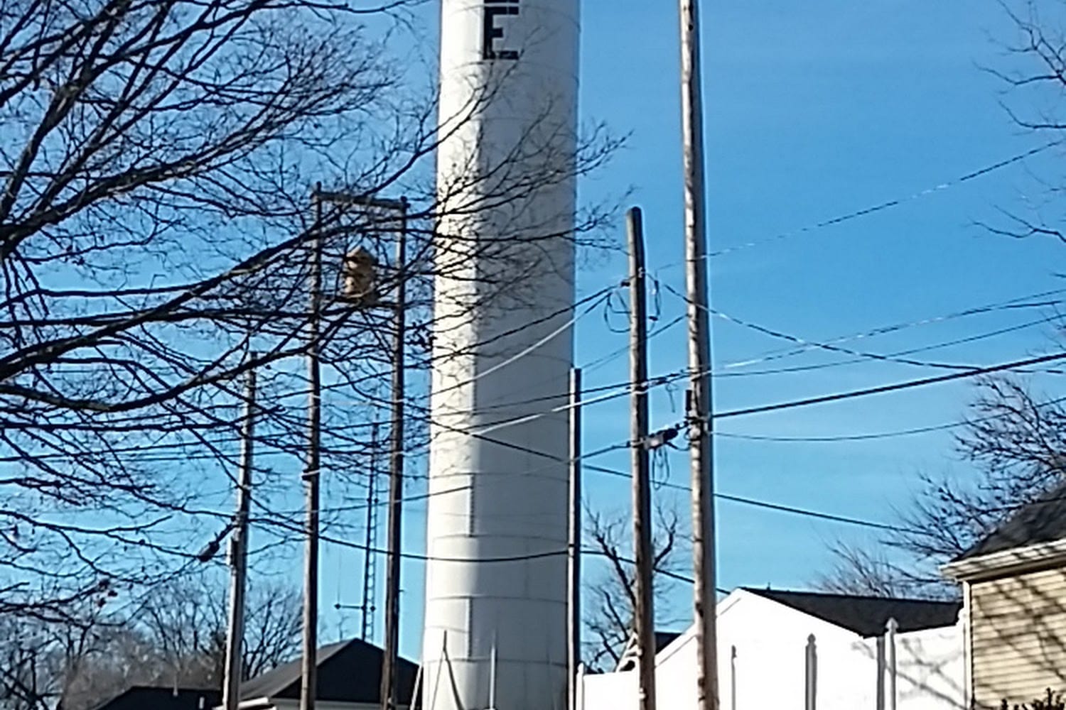 Hendricks County Humane Society in Danville, IN The County Office