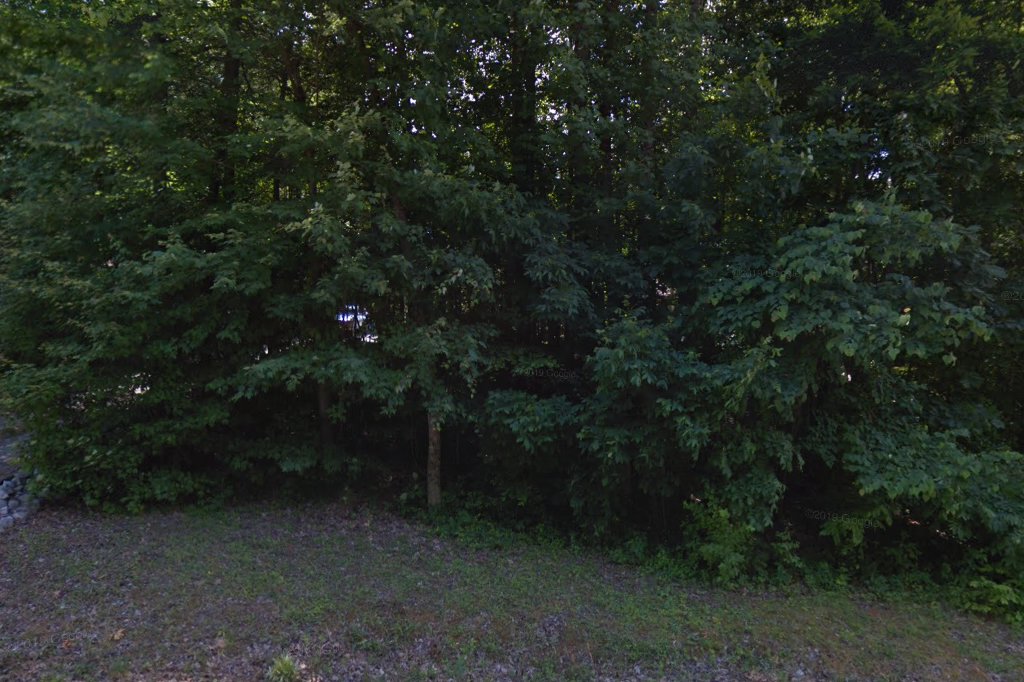 Animal Shelter in Randleman, NC The County Office